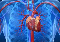 COVID-19 May Not Only Affect Lungs But Also Heart - European Society of Cardiology