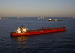 US Seeks to Sanction Up to 50 Tankers Over Iran-Venezuela Oil Trade - Reports