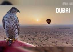 Dubai Tourism launches ‘Dubai Virtual Backgrounds’
