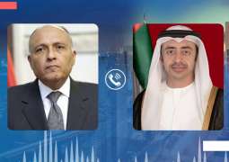 Abdullah bin Zayed, Sameh Shoukry condemn endangering civilian lives in Libya