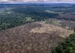 Destruction of Nature, Unsustainable Agriculture to Blame for Pandemics - WWF Report