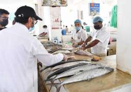 أمانة منطقة جازان تواصل تكثيف الإجراءات الاحترازية بسوق السمك المركزي