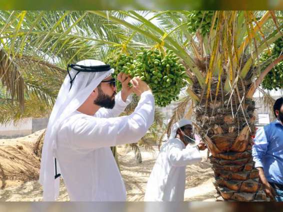 "مزارع أبوظبي".. منظومة متكاملة للإرشاد والتدريب تدعم استدامة قطاع الزراعة