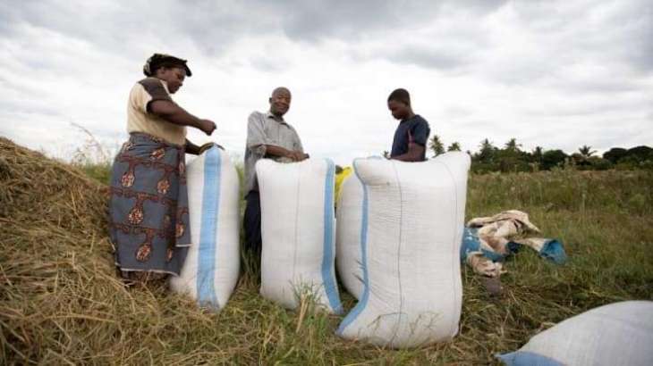 International Support for African Farmers Needed to Mitigate COVID-19 Food Crisis - NGO