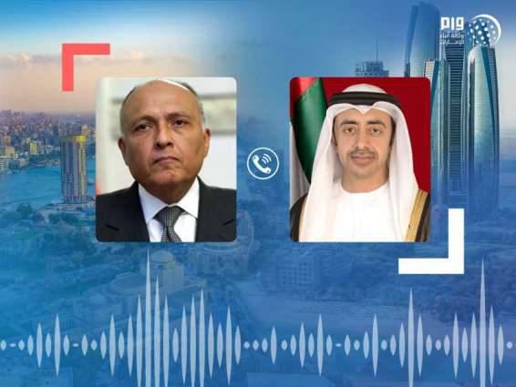 Abdullah bin Zayed, Egyptian FM review regional developments