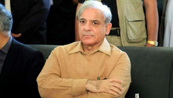 Shehbaz Sharif appears before NAB in assets case
