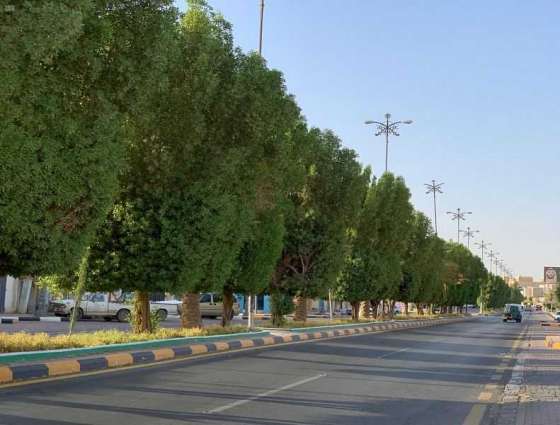 بلدية رفحاء تزرع 162 ألف شجرة وزهرة في النصف الأول من عام الجاري 2020م
