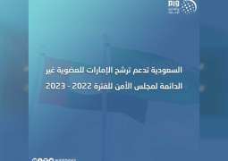 السعودية تدعم ترشح الإمارات للعضوية غير الدائمة لمجلس الأمن للفترة 2022 - 2023