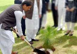 PM to inaugurate Monsoon Tree Plantation campaign in Kahuta today