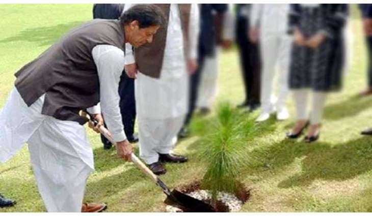 PM to inaugurate Monsoon Tree Plantation campaign in Kahuta today