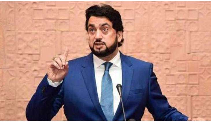 Shehryar Afridi is unfit for chairmanship of Kashmir committee, says Senior Journalist