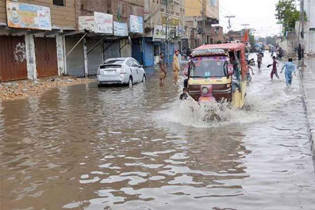 Torrential Rain in Pakistani City of Karachi Leaves at Least 9 Dead - Reports