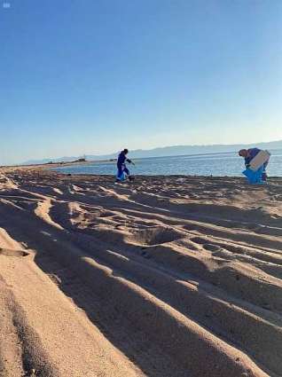 بلدية محافظة حقل تكثف أعمال النظافة في الشواطئ المفتوحة والمتنزهات البحرية