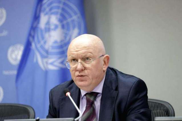 Closing of Cross-Border Mechanism Will Not Affect Aid Delivery to Syria - Nebenzia