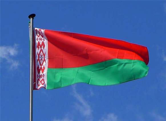 Belarusian Investigative Committee Opens Criminal Probe After Rallies in Minsk