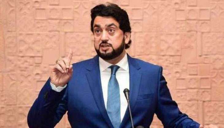 Shehryar Afridi is unfit for chairmanship of Kashmir committee, says Senior Journalist