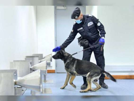 UAE tops world countries in detecting Covid-19 with police dogs