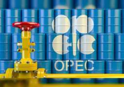 OPEC daily basket price stood at $45.21 a barrel Tuesday