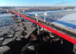 Russia-China Bridge Will Not Open on September 1 Due to COVID-19 - Local Authorities