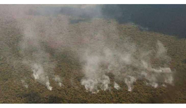 Greenpeace Alarmed Over Amazon Wildfires Reaching Highest Intensity Over Past Decade