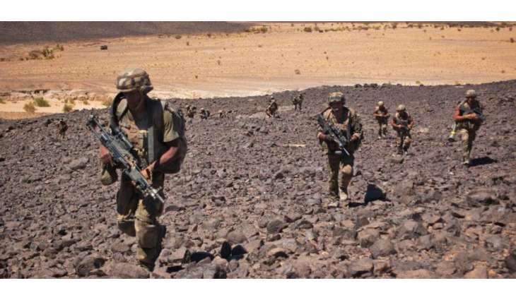 IS Deputy Leader in Sahara Killed in French Operation in Mali - Reports