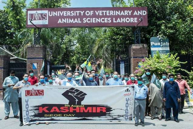 UVAS observes ‘Youm-e-Istehsal’, express Solidarity with oppressed Kashmiri people