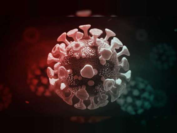 Worldwide coronavirus cases cross 18.82 million, death toll at 706,779