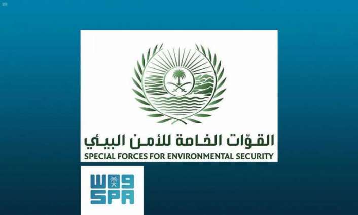 متحدث القوات الخاصة للأمن البيئي: تحديد هوية الأشخاص الذين قاموا بإيذاء سلاحف على أحد شواطئ محافظة أملج بتبوك