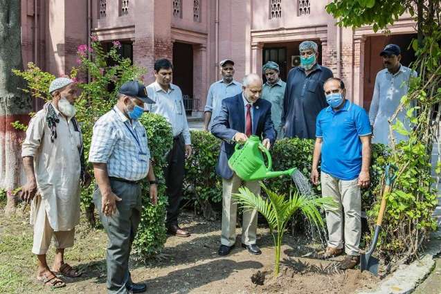 UVAS VC launched tree plantation drive to promote greenery under PM Country's Largest Tree Plantation Campaign