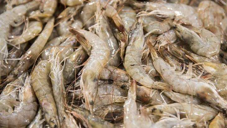 China Detects Traces of COVID-19 on Frozen Shrimps Packaging From Ecuador - State Media