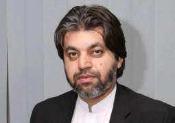 Shehbaz Sharif will be held responsible if Nawaz Sharid does not return, says Ali Muhammad Khan