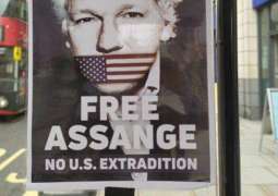 US Press Freedom Expert Tells UK Court That Assange Indictment Unconstitutional