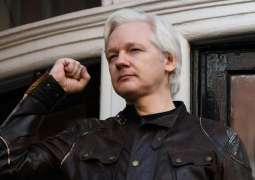 Watchdog Brands Charges Against WikiLeaks Founder 'Politically-Motivated'