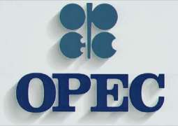 OPEC Celebrates 60th Anniversary Aiming to Alleviate Energy Poverty