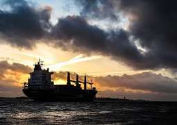 Pirates Threatening to Kill Russian Sailors Abducted Near Equatorial Guinea - Official