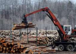 Canada 'Disappointed' By US Decision to Appeal WTO Ruling on Lumber Imports - Statement