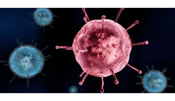 FEATURE - COVID Victim's Daughter Calls on Americans to Take Pandemic Seriously, Trust Science