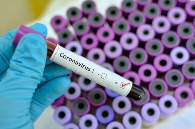 Russian Defense Minister Says Got Inoculated With Russian COVID-19 Vaccine