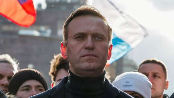 Berlin Moves Step Forward in Joint Work With OPCW on Navalny's Case - Gov't Spokesman