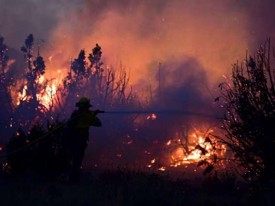 California Wildfire Devastates Over 100,000 Acres of Land in LA County - Fire Dept
