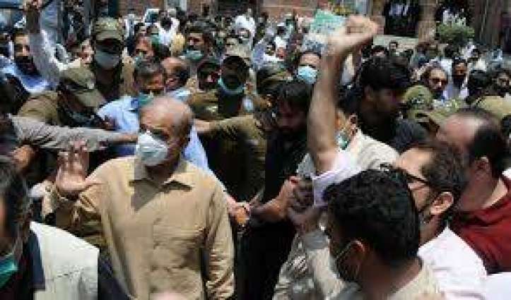 LHC extends till Sept 28 interim bail of Shehbaz Sharif in Money laundering case