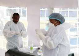 WHO Africa to Look Into Dozens of COVID-19 Herbal Remedies to Be Tested in Phase 3 Trials