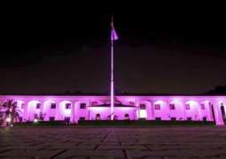 شاہد : مقر السفارة الاماراتیة لدی اسلام آباد باللون الزھري تضامنا مع الحملة العالمیة للتوعیة بسرطان الثدي
