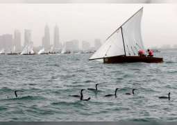 "دبي للرياضات البحرية" يعتمد برنامج موعد انطلاق فعاليات الموسم الرياضي البحري الجديد 2020 - 2021 
