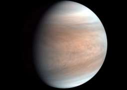 Academy of Sciences Backs Roscosmos' Idea to Study Soil, Atmosphere Samples of Venus