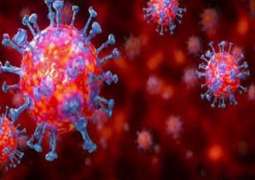 Norway Detects New Type of Coronavirus With Faster Transmission Properties