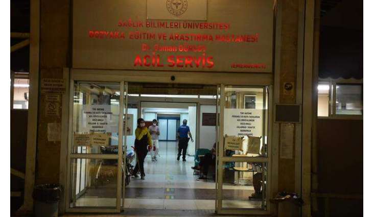 Over 30 People Die From Fake Alcohol Poisoning in Turkey - Reports