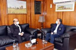 Masood Khan meets Deputy Chairman Senate; discuss latest situation in IOJK