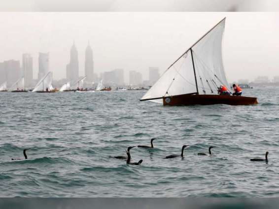 "دبي للرياضات البحرية" يعتمد برنامج موعد انطلاق فعاليات الموسم الرياضي البحري الجديد 2020 - 2021 