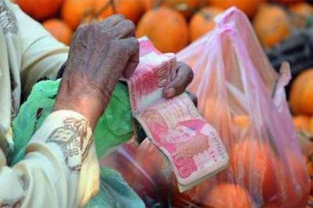 Govt will take all possible measure to bring down inflation: Shibli Faraz